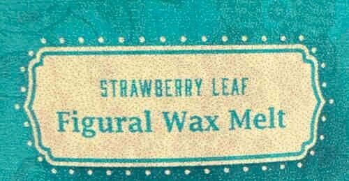 10 WAX MELTS, FIGURAL, STRAWBERRY LEAF, HIGHLY SCENTED, THE PIONEER WOMAN, 70gm - DM Store